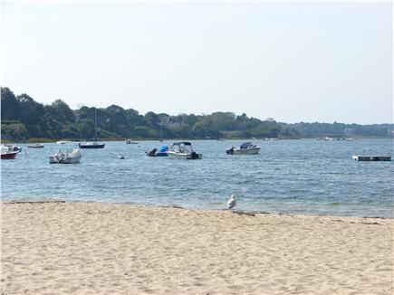 Chatham, downtown Cape Cod vacation rental - Enjoy the convenience and beauty of Oyster Pond - 1/2 mile away