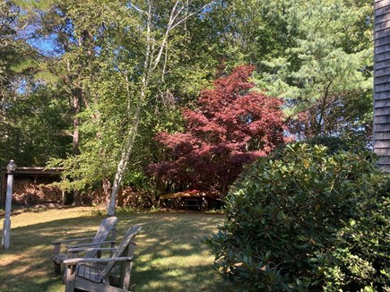 West Barnstable Cape Cod vacation rental - West facing side yard with red maple and wood shed