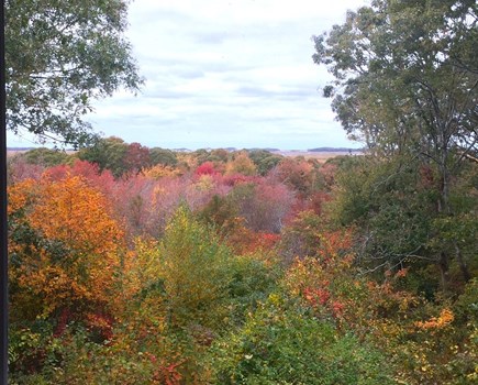 West Barnstable Cape Cod vacation rental - Fall colors, view north towards the marsh and harbor