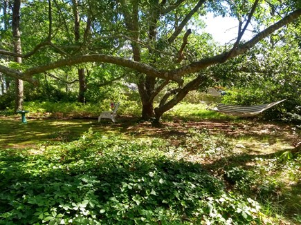 Wellfleet Cape Cod vacation rental - Enjoy shade of majestic oaktrees