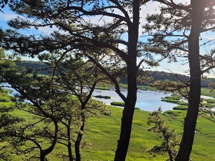 Wellfleet Cape Cod vacation rental - Walks through forest to beautiful marshes