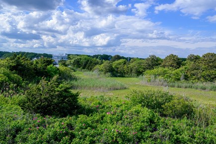 Centerville Cape Cod vacation rental - View of meadow behind property