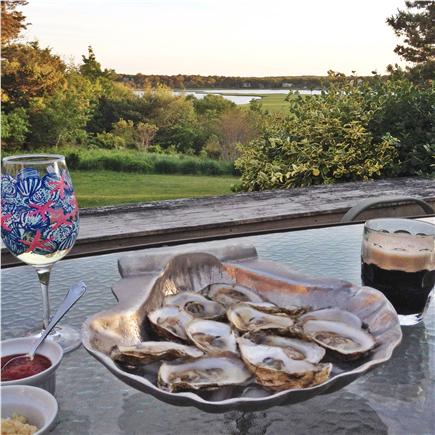 East Orleans Cape Cod vacation rental - Wellfleet oysters, anyone?
