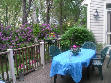 Harwich Cape Cod vacation rental - Huge deck for entertaining