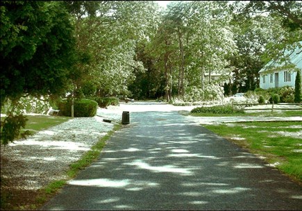 Falmouth Cape Cod vacation rental - Quiet, shady street: our house is to left of foreground