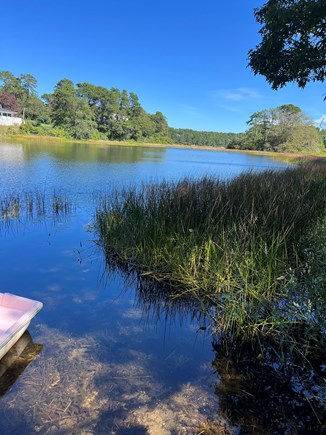 Chatham Cape Cod vacation rental - Clean private pond shore side surrounded by natural beauty