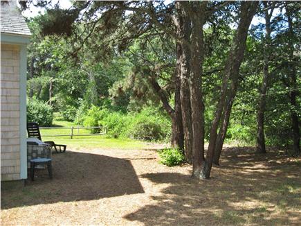 Chatham Cape Cod vacation rental - Side yard also abutting conservation land.