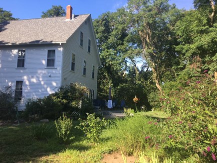 Wellfleet Cape Cod vacation rental - Back of house and lots of greenery, flowers and a big yard.