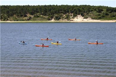 Chequessett Neck Wellfleet Cape Cod vacation rental - Guided nature tour floats by and the water is great for swimming