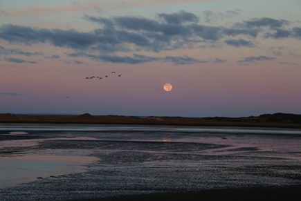 Chequessett Neck Wellfleet Cape Cod vacation rental - The moon and birds with CC bay beyond the gut