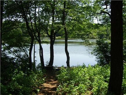 West Yarmouth Cape Cod vacation rental - Path to the pond