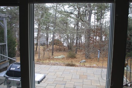 Brewster Cape Cod vacation rental - New Patio with view of pond.