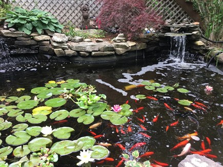 Harwich Cape Cod vacation rental - One of our favorite features – Koi pond from sitting area