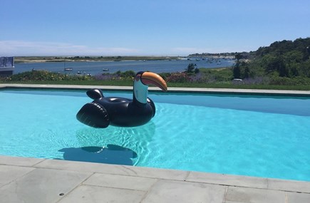 North Chatham Cape Cod vacation rental - Stunning 50' heated pool overlooking Chatham Harbor