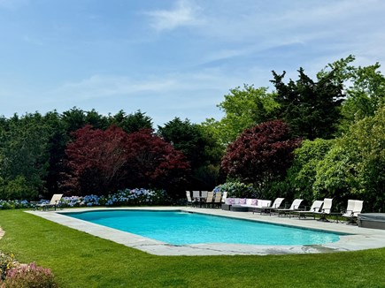North Chatham Cape Cod vacation rental - 50' x 25' heated gunite pool overlooking the ocean