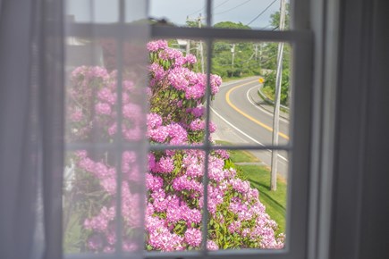 Woods Hole, Falmouth Cape Cod vacation rental - View up Woods Hole Road from the living room.