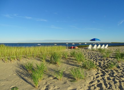North Chatham, Beach, Harbor Cape Cod vacation rental - Walk past our growing  dune grass...and 5 chairs await