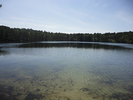 Wellfleet Cape Cod vacation rental - Dyer Pond is accessed by trails off of circle where house is