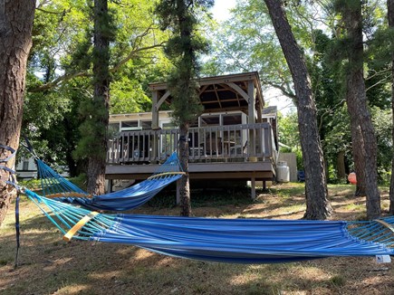 Walk to Wellfleet Ctr. Cape Cod vacation rental - Back yard relaxing area with hammocks