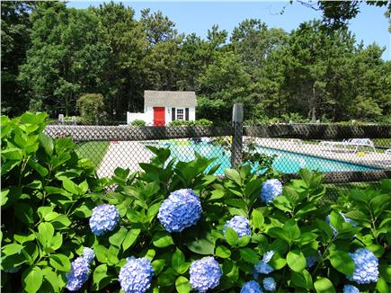 Dennis Port Cape Cod vacation rental - 20 X 40 inground gunite heated pool with hot tub heated to 102