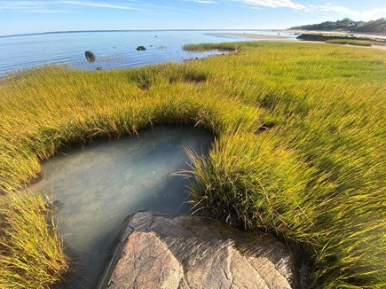 Brewster Cape Cod vacation rental - Tidal Pools, Walk Left From Private Bayside Beach, Low Tide