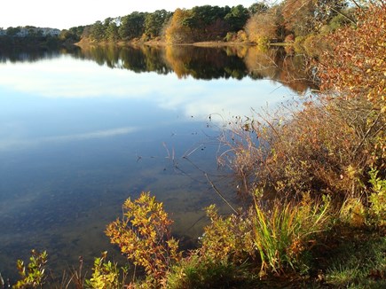 Brewster Cape Cod vacation rental - Backyard Pond View Right, in October
