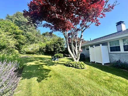 Chatham Cape Cod vacation rental - Large Yard and Outdoor Shower