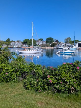 On Falmouth Harbor, Desirable  Cape Cod vacation rental - Heavenly living on Falmouth Harbor in Falmouth Heights