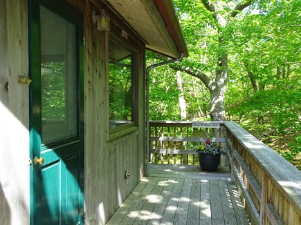 Provincetown Cape Cod vacation rental - Welcome to the Cabin