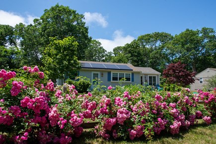 North Eastham Cape Cod vacation rental - Charming Cape Cottage