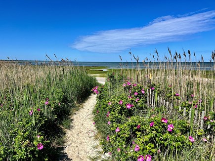 Orleans Cape Cod vacation rental - Dyer Prence Beach, Eastham side of Rock Harbor