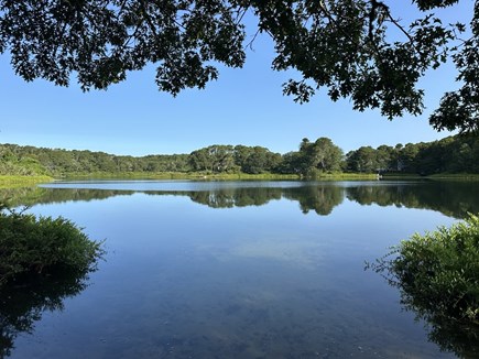 Chatham Cape Cod vacation rental - Lake steps away