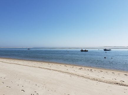 Chatham Cape Cod vacation rental - Nearby beaches to walk to, drive to, and dog walk