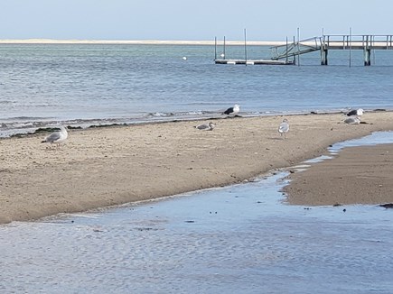 Chatham Cape Cod vacation rental - Landing.  North Beach behind can be reached by boat or kayak.