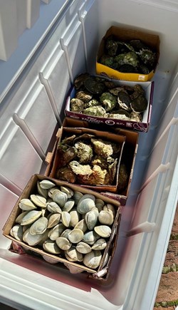 Chatham Cape Cod vacation rental - Ocean's bounty
