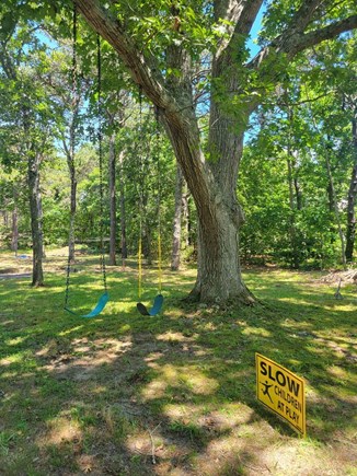 No. Eastham Cape Cod vacation rental - Side Yard with Tree Swings & Horseshoe Pit