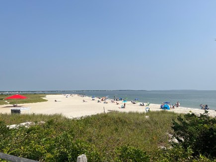 Osterville Cape Cod vacation rental - Dowses Beach.  There are 3 lifeguard posts in the summer.