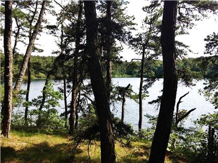 Wellfleet Cape Cod vacation rental - Take a walk through the woods to secluded Dyer Pond