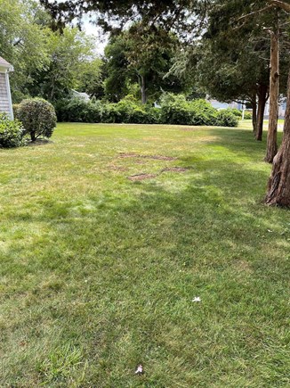 Brewster Cape Cod vacation rental - Front view side yard for wiffle ball, Kan-Jam or Frisbee toss