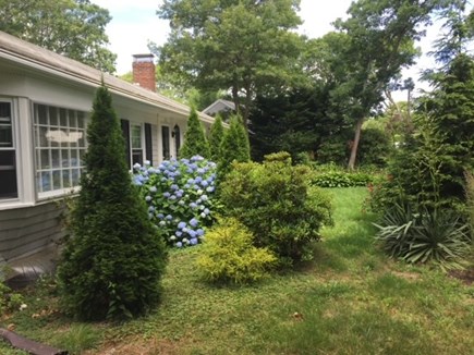 Hyannis/Craigville Cape Cod vacation rental - Home landscaping
