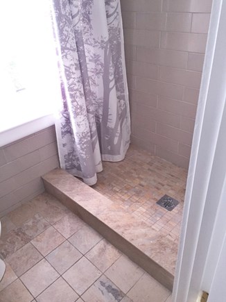 Woods Hole Cape Cod vacation rental - Bathroom step in shower (designed with Stoney Beach colors)