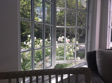 Cotuit Cape Cod vacation rental - Summer breezes waft through French windows.