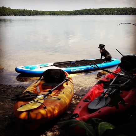 Falmouth Cape Cod vacation rental - We offer three kayaks for you to paddle and explore the pond.