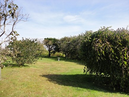 East Orleans Nauset Heights Cape Cod vacation rental - Backyard