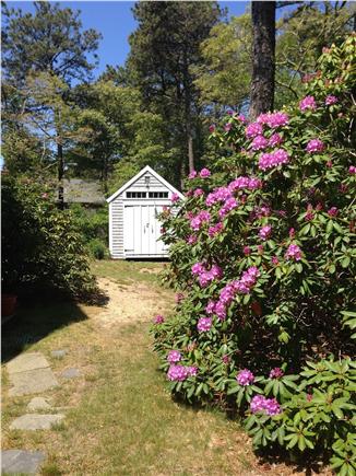 Brewster Cape Cod vacation rental - Writers Cottage