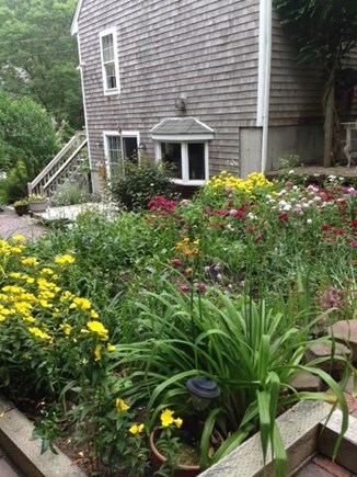 Mashpee Neck Cape Cod vacation rental - Side view of house and gardens