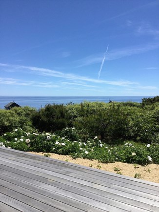 South Wellfleet Cape Cod vacation rental - Ocean views