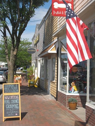 Dennisport Cape Cod vacation rental - Dennisport Village, Walk to restaurants, gift shops, ice cream