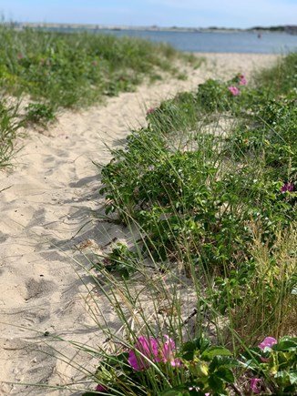 Hyannis Park/West Yarmouth Cape Cod vacation rental - 