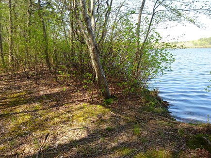 Brewster Cape Cod vacation rental - Pond waters edge